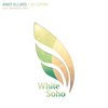 VV Cephei (Original Mix) - Andy Elliass