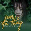 Em Đã Thấy - Melomix&Lana