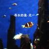 寻水的鱼 - 元一