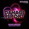 Scratching Ferret - Damage Report