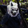 Among the Sheep - Volk