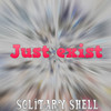 Junk mix - Solitary Shell