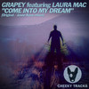 Come Into My Dream (Radio Edit) - Grapey&Laura Mac