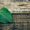 Days of Summer - Loman