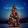 Silent Night - Steve Wingfield&Chemayne Del Mastro