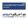 Promised (Original Mix) - Cloudwalker&Barry