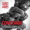 Concorde(Original Mix) - Spartaque&Burzhuy