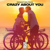 Crazy About You - Sebastian Park