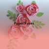 She Don't Care - Wayne Toombs