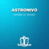 Nature of Destiny (Shik Stylko RMX) - AstroNivo