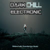 Little Bird (Electronica Chill Mix) - Quick Impact&Steven Glass