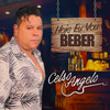 Hoje Eu Vou Beber - Celso Angelo