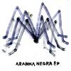 Aranha Negra (Seixlack Remix) - Lake Haze&Fernando Seixlack