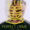 Perfect Crime (feat. Daniel Gidlund) - Nause&Daniel Gidlund