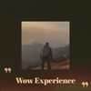 Wow Experience - Federico Chieli