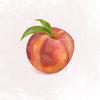 GEORGIA PEACHES (Explicit) - Stuu