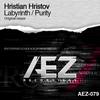 Labyrinth (Original Mix) - Hristian Hristov