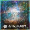 Infinite Space - Lish&Gaudium
