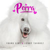 Perra - Young Eiby&Lenny Tavárez