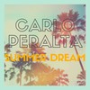 Distant Voice - Carlo Peralta