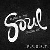 Flight of the Soul - P.R.O.S.T.