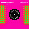 Flashy Lights - Sage Armstrong&BOT