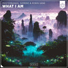 What I Am - MasterBangg&Somero&Robin Vane