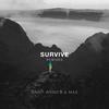 Survive (PLS&TY Remix|Explicit) - SAINT WKND&MAX