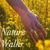 Great Day - The Sallie Martin Singers