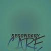 Secondary Care - Aritz Kers