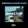 SHAKE IT UP (feat. Galee Galee) (Explicit) - Ganjastyle&Galee Galee