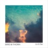 If I Die - Bird&Thorn
