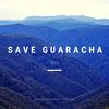 Save Guaracha - leeB