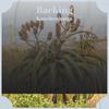 Jittering Protrude - Kert Belg
