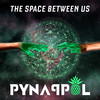 The Space Between Us (Radio Edit) - PYNAPPOL