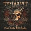 Into the Pit - Testament