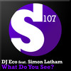 What Do You See? (Original Mix) - DJ Eco&Simon Latham