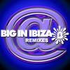 Why Can't We Live Together? (Big In Ibiza Remix) - Dominatorz&Big In Ibiza