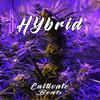 HYbrid - Cultivate Beats