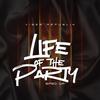 Life of the Party (sped up) - Vibes Republik