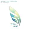 She's Like An Ocean (Original Mix) - Biotones