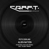 Alien Nation (Joel Talbot Remix) - Pete Dorling&Joel Talbot