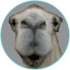 Closed Circus (Mark Henning Remix) - Lee Jones&Mark Henning