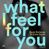 What I Feel for You (Dio S Remix) - Geolo Berlange&Dio S