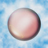 pearls - Coals