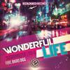 Wonderful Life (Original Mix) - Sugarmaster&ITO-G&Bikro Digg