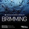 Brimming (Extended Mix) - Saccao&Dakar Carvalho