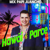 Mix Papi Juancho(Hawái / Parce)[Versión Salsa] - Junior Riojas