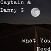 What You Need - Captain&Danny G