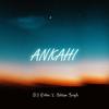 Ankahi - DJ ROBIN